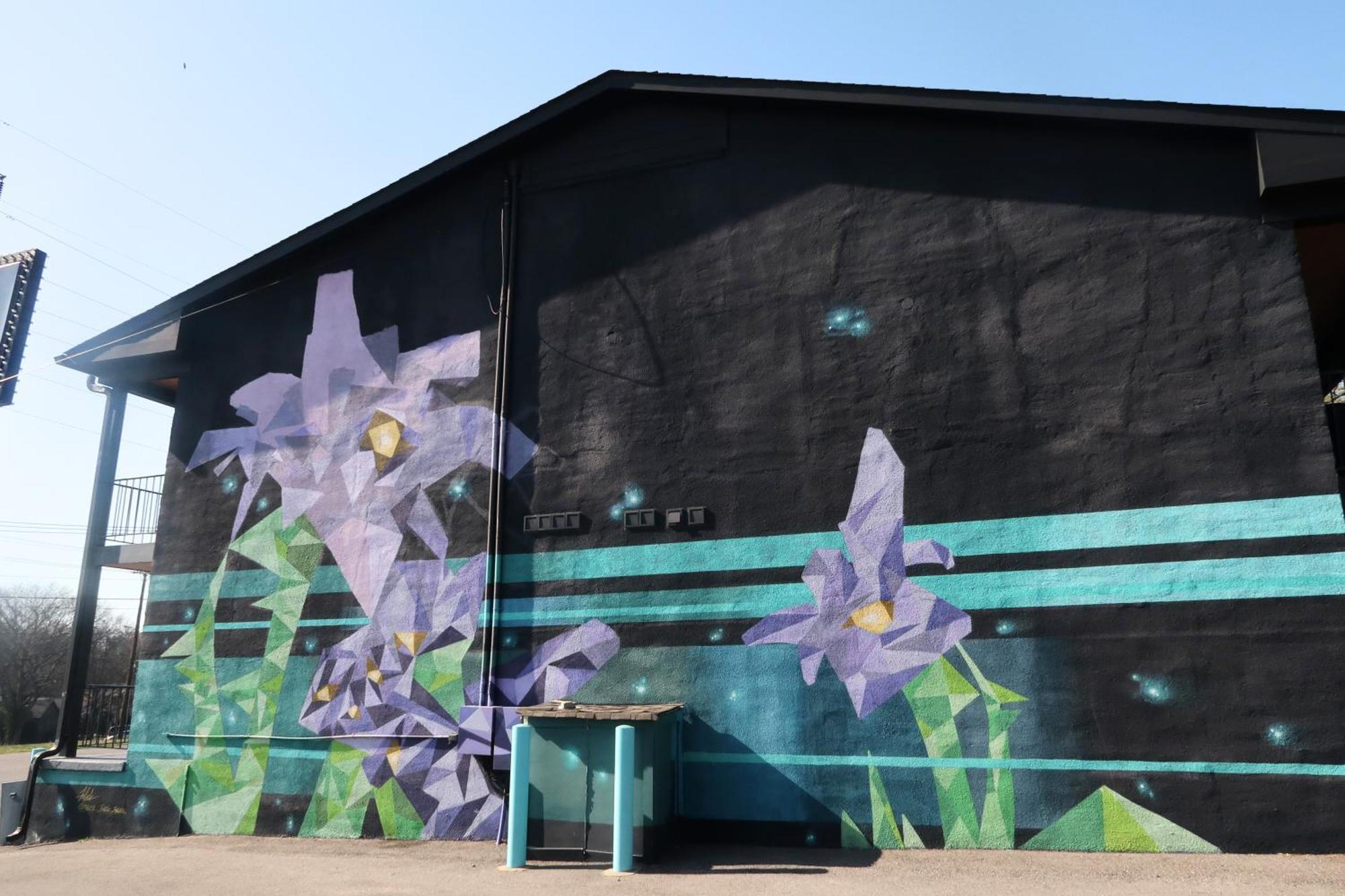 The Iris Motel Nashville Exterior foto